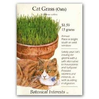  Mini Organic Pet Grass Kit   Grow Wheatgrass for Pets: Dog 