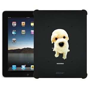  Bichon Frise Puppy on iPad 1st Generation XGear Blackout 