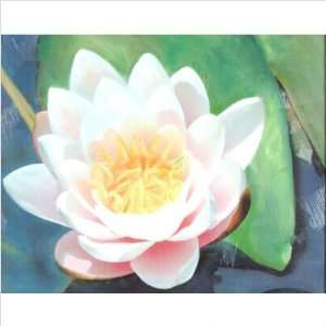  Windsor Vanguard VC2138A Water Lily I Canvas Baby