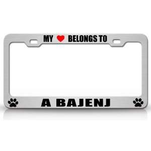MY HEART BELONGS TO A BAJENJ Dog Pet Steel Metal Auto License Plate 