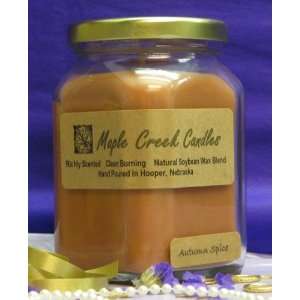  Maple Creek Candles AUTUMN SPICE ~ Warm Spices of Harvest 