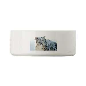  Dog Cat Food Water Bowl Snow Leopard HD Apple Everything 
