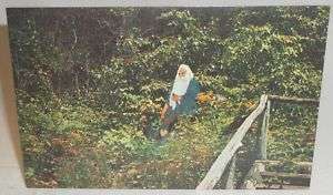 Vintage Postcard Rip Van Winkle Catskill Mountains  