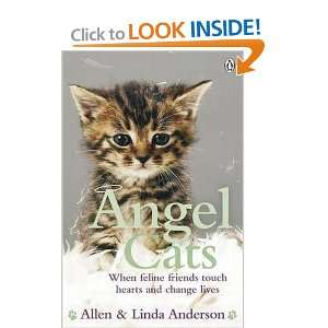  Angel Cats When Feline Friends Touch Hearts and Change 