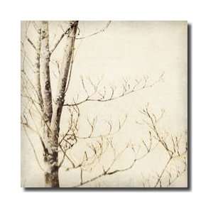 Winter Trees I Giclee Print:  Home & Kitchen