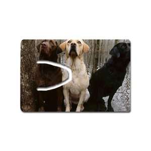  Labs photo Bookmark Great Unique Gift Idea: Everything 