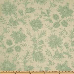  54 Wide Swavelle/Mill Creek Sakari Fresco Green Fabric 