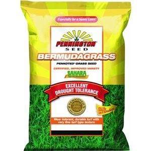 com Pennington Seed 100086555 Sahara Bermudagrass Penkoted Grass Seed 