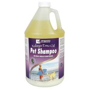  Kalaya Emu Oil Moisturizing Shampoo   Gallon: Pet Supplies