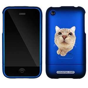  Scottish Fold on AT&T iPhone 3G/3GS Case by Coveroo 