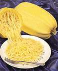 25 Vegtable Spaghetti squash seeds new seeds for 2012