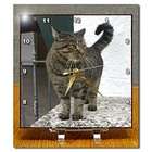 3dRose LLC Cats   Orange Cat   Desk Clocks