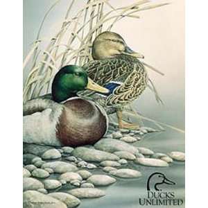   Outdoor Ducks Unlimited Tin Sign Interlude Trailsend: Home & Kitchen