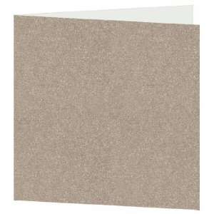   Blank Square Folder   High Society Grey (50 Pack): Toys & Games