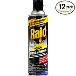  Raid Wasp & Hornet 14 Ounce Cans (Pack of 12): Health 