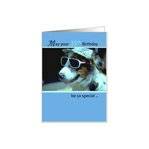   , Dog with Sunglasses and Hat, Humorous, Funny Card: Toys & Games