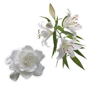  Gardenia Lily Candle / Soap Fragrance Oil 1oz: Everything 