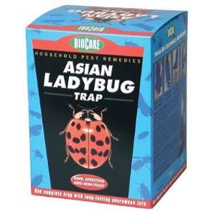  Asian Ladybug Trap