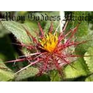 MoOn GoDdEsS MaGiCk~1 oz. Blessed Thistle~HERB~antisecptic, aids in 