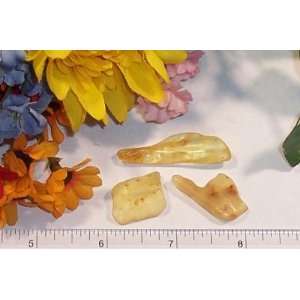  Gemstones Natural Amber