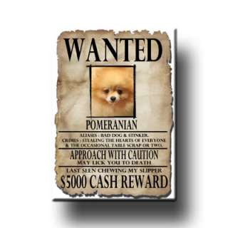 POMERANIAN Wanted Poster FRIDGE MAGNET New DOG Funny  