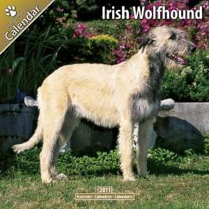 Kalender 2011 Irischer Wolfshund   Irish Wolfhound  Bücher