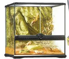 Vollglasterrarium   die ideale Behausung für Reptilien und Amphibien