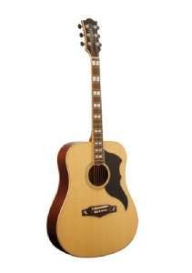 Eko Ranger 6 Custom FastLOK Acoustic Guitar NEW  