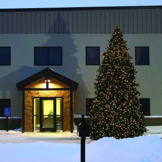 20 FT GRAND TETON COMMERCIAL CHRISTMAS TREE ~LED LIGHTS  