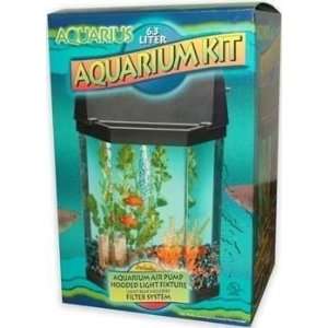   : Kol Aquarius Hexagon 2 Gallon Black Desk Top Aquarium: Pet Supplies