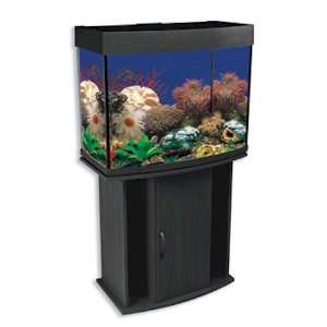   42 Gallon Bow Front Aquarium   With Aquarium Kit: Everything Else