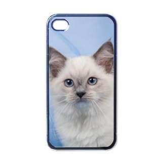 RAGDOLL KITTY CAT COVER CASE FOR APPLE IPHONE 4 PHONE  