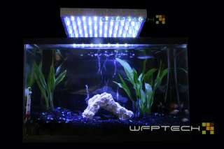 White Blue LED Aquarium Reef Coral Grow Light Panel 50W  