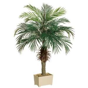   Pack of 2 Potted Artificial Silk Phoenix Palm Trees 4 Home & Kitchen