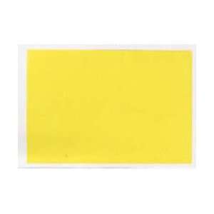 Gamblin Artist Oil Color Hansa Yellow Light 8 oz can Arts 