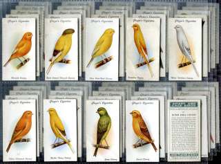   Set, John Player, AVIARY & CAGE BIRD, Parrot, Canary etc, 1933  