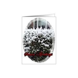  snow topped evergreen bush    Seasons Greetings Card 
