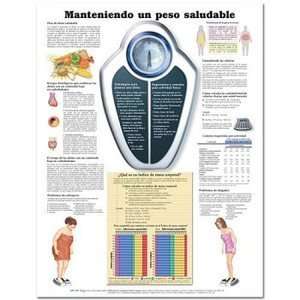    Maintaining a Healthy Weight Spanish Chart/Poster 
