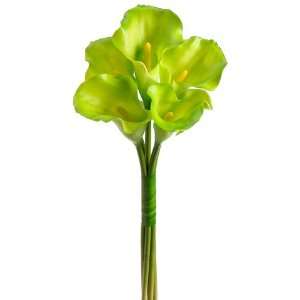  21 Calla Lily Bouquet X5 Green (Pack of 6): Home 