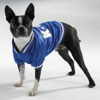 Large Blue Authenic Dog BASEBALL JERSEY Jacket ~XL  