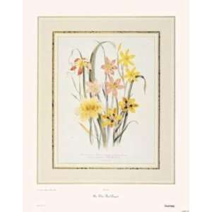  Mrs.Wirts Floral Bouquets (Canv)    Print