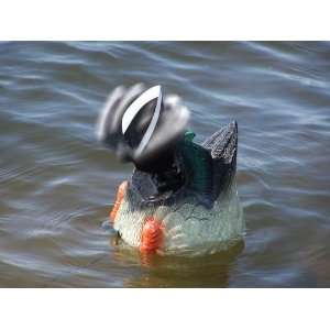   Innovative Hunting FlickerTail Duck Butt Hunting Decoy Sports