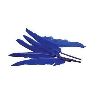  Midwest Design Indian Feathers Royal Blue 10 12 6/Pkg 