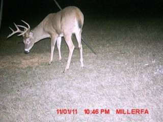 ! MOULTRIE 30 Gallon Pro Hunter Tripod Deer Feeder + D 50 Trail Game 