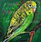 Original BUDGIE PAINTING PARAKEET Green & Yellow Bird s