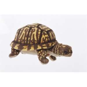 11 Box Turtle Plush Stuffed Animal Toy Toys & Games