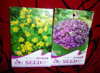 Yellow Oxalis Red Oxalis Woodsorrel Flower Seed Pack  